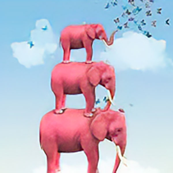 image-elephants-roses-ok